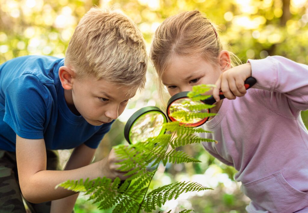 Learning Outdoors Beyond the Classroom
